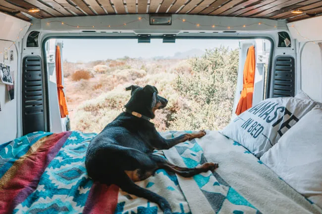 How do I prepare my dog for a long road trip?